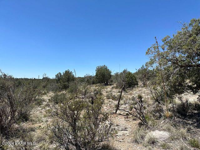 J Peacefull Hill Rd, Seligman, AZ 86337 - photo 15