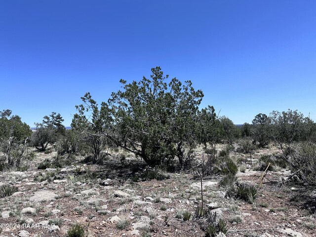 J Peacefull Hill Rd, Seligman, AZ 86337 - photo 2