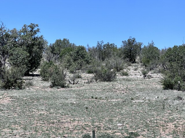 J Peacefull Hill Rd, Seligman, AZ 86337 - photo 8
