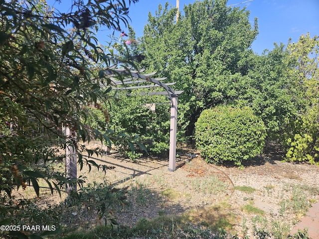 3916 N Catherine Dr, Prescott Valley, AZ 86314 - view of yard