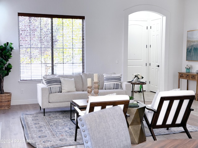 living room featuring light wood-type flooring and a healthy amount of sunlight