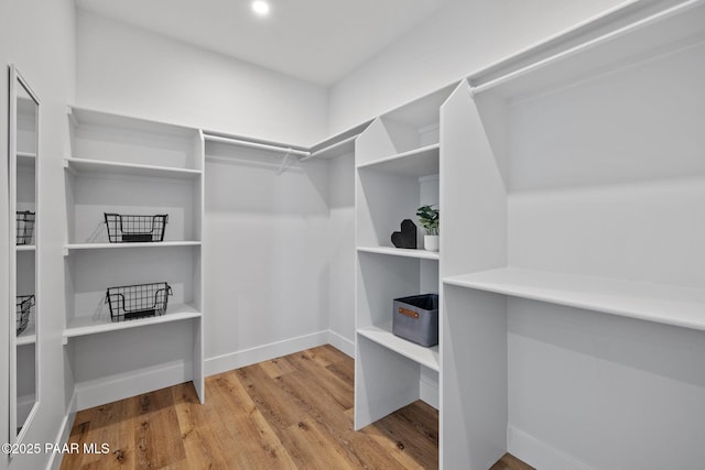 spacious closet featuring light wood-type flooring