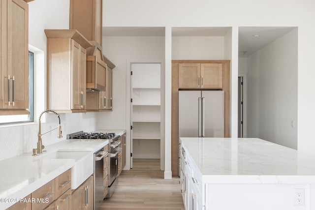 kitchen featuring light stone counters, light hardwood / wood-style flooring, sink, and appliances with stainless steel finishes