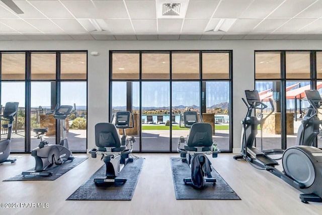 gym with visible vents, a drop ceiling, and wood finished floors