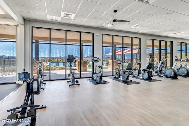 exercise room with visible vents, a drop ceiling, a wealth of natural light, and wood finished floors