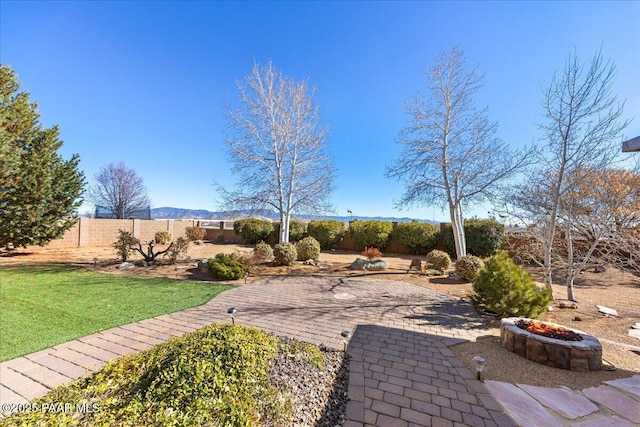 view of yard featuring a patio