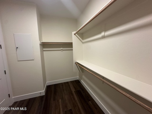 walk in closet featuring electric panel and dark wood finished floors