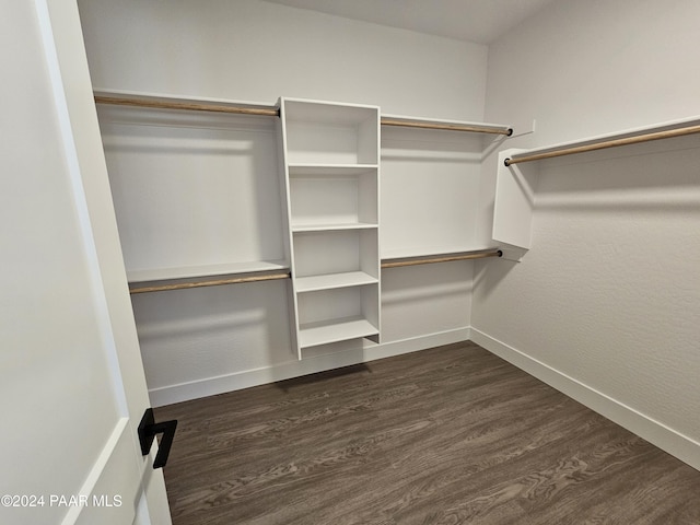 walk in closet featuring dark hardwood / wood-style floors