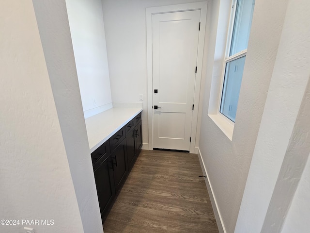 entryway featuring dark wood-type flooring