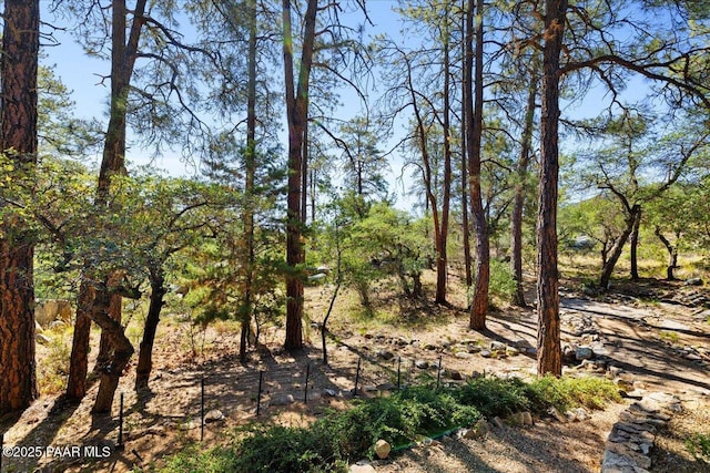1167 Eagles Nest, Prescott, AZ 86303 - view of nature