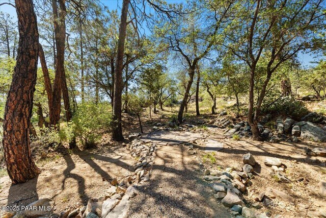 1167 Eagles Nest, Prescott, AZ 86303 - view of yard