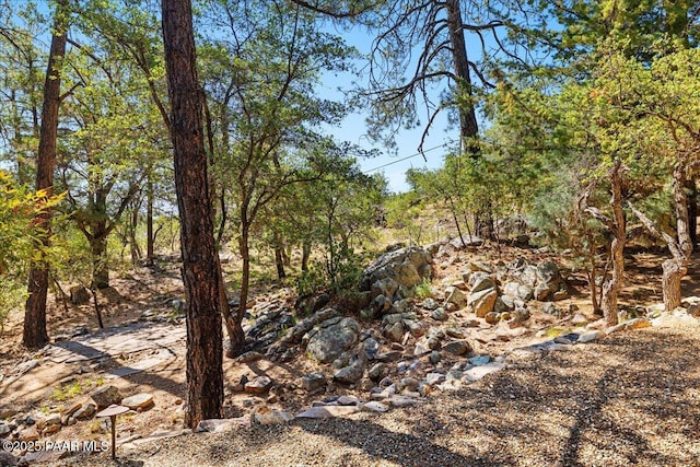 1167 Eagles Nest, Prescott, AZ 86303 - view of nature