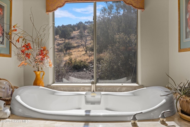 room details featuring a freestanding bath