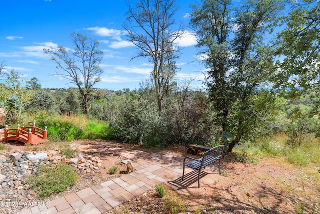 1116 Christie Ln, Prescott, AZ 86305 - view of yard