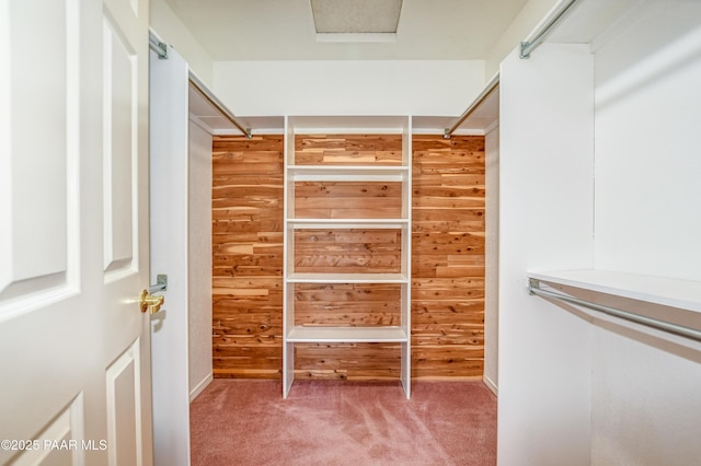 spacious closet featuring carpet floors