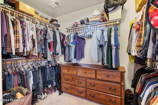 spacious closet featuring light colored carpet