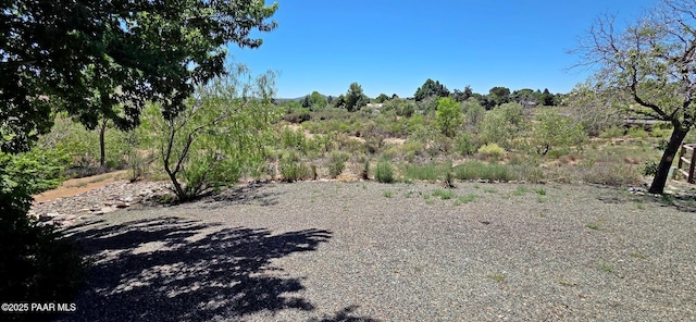 10919 E Roundup Dr, Dewey-Humboldt, AZ 86327 - view of nature