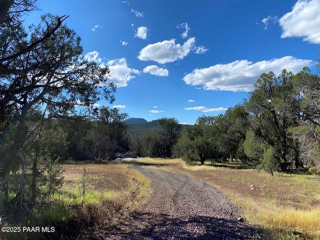 7459 Wolf Run, Williams, AZ 86046 - photo 30
