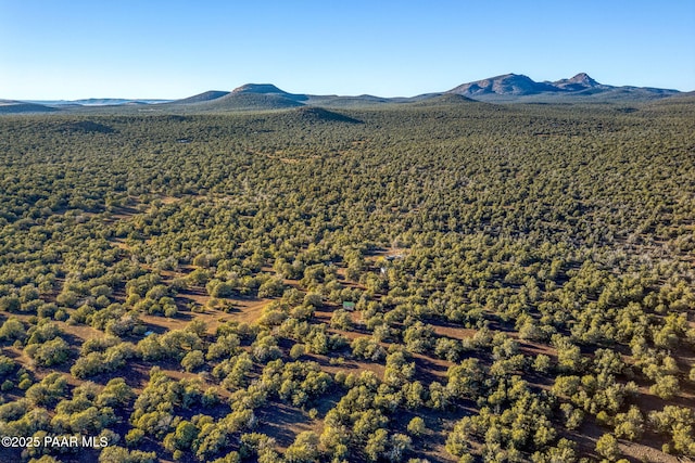 7459 Wolf Run, Williams, AZ 86046 - photo 35