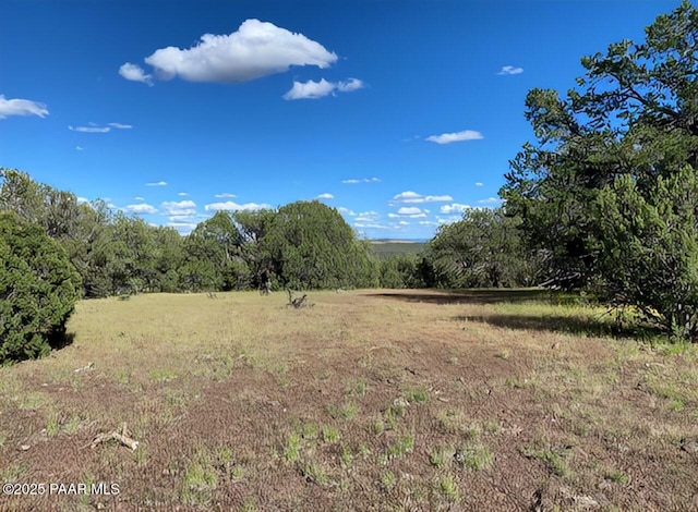 7459 Wolf Run, Williams, AZ 86046 - photo 27