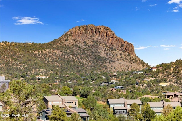 view of mountain feature