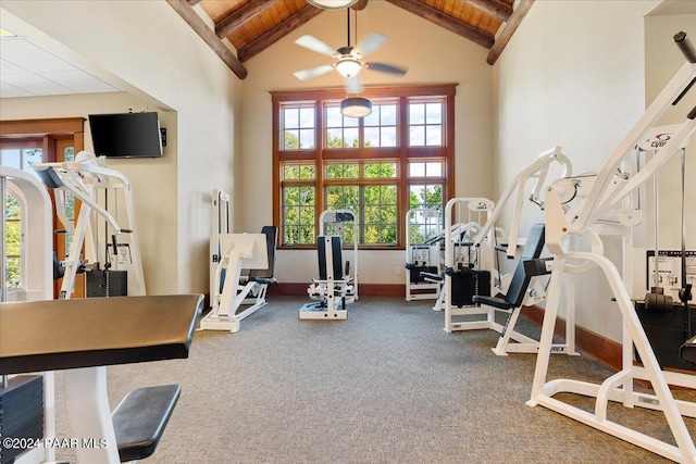 workout area with ceiling fan, high vaulted ceiling, and a healthy amount of sunlight