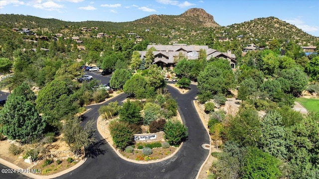 aerial view with a mountain view