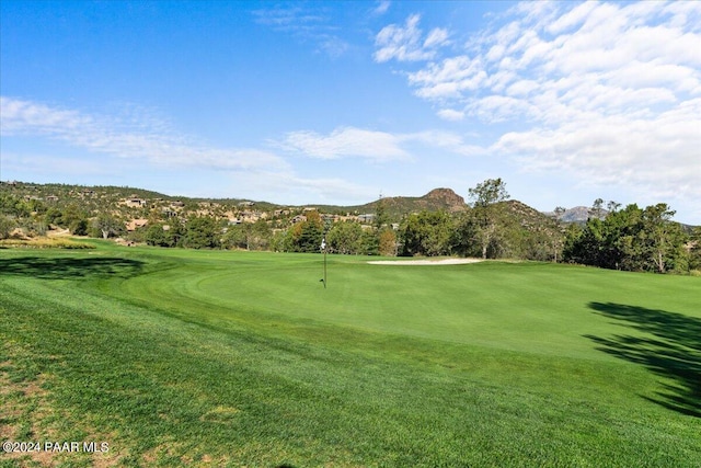 view of property's community with a mountain view and a yard