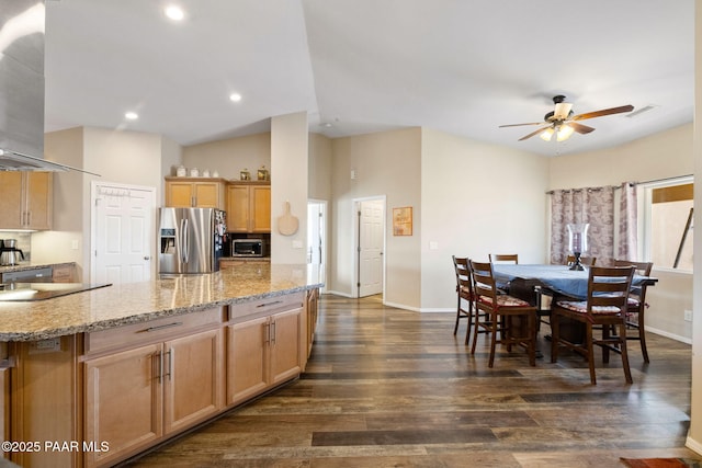 kitchen with exhaust hood, ceiling fan, dark hardwood / wood-style floors, light stone countertops, and appliances with stainless steel finishes