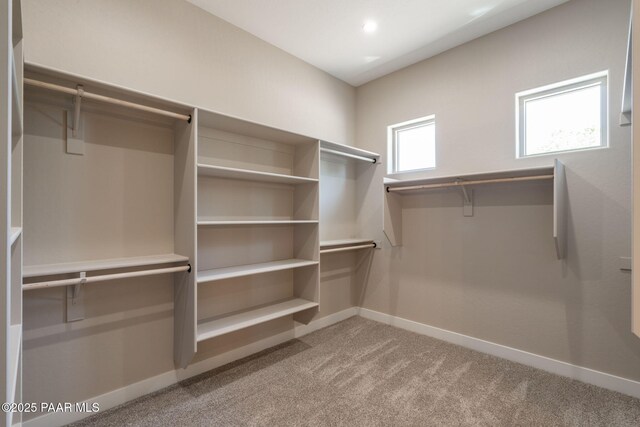 spacious closet featuring carpet floors