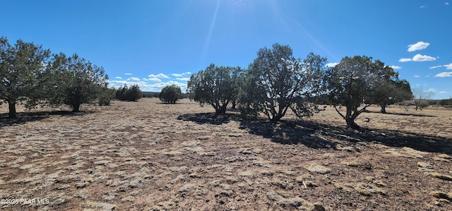 3597 Boone Trl, Ash Fork, AZ 86046 - photo 51