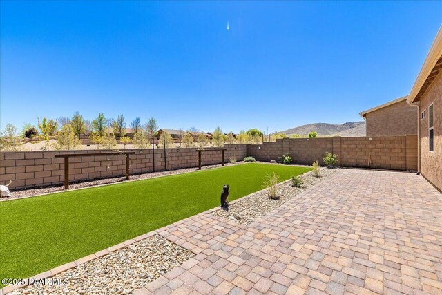 view of yard featuring a fenced backyard and a patio