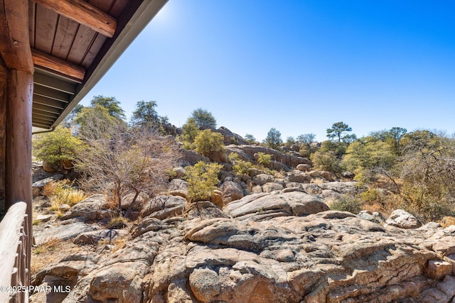 view of local wilderness