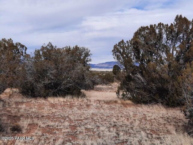 4719 W Calle Ines, Seligman, AZ 86337 - photo 5