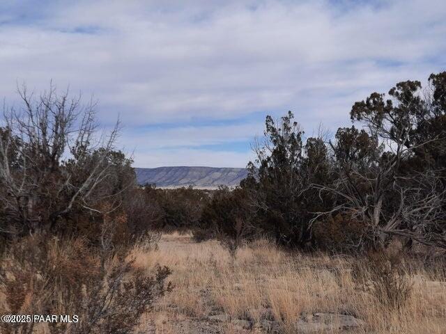 4719 W Calle Ines, Seligman, AZ 86337 - photo 1