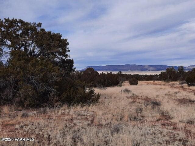 4719 W Calle Ines, Seligman, AZ 86337 - photo 6