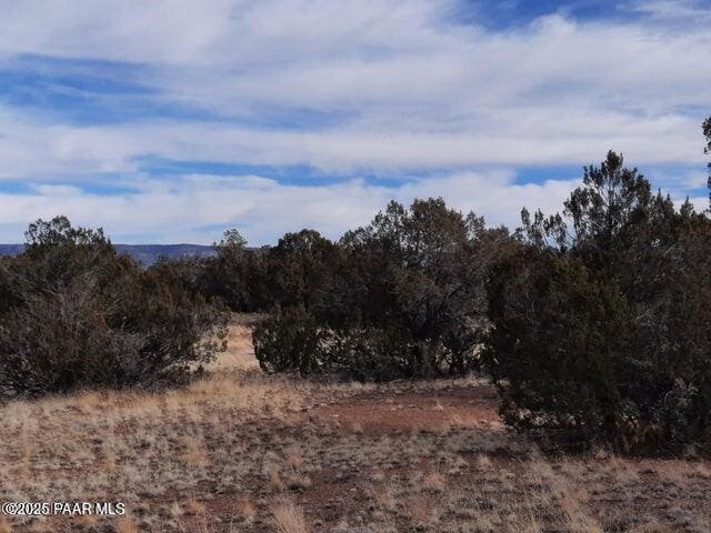 4719 W Calle Ines, Seligman, AZ 86337 - photo 3