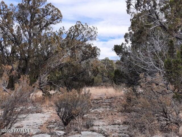 4719 W Calle Ines, Seligman, AZ 86337 - photo 2