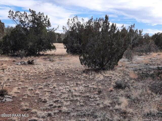 4719 W Calle Ines, Seligman, AZ 86337 - photo 4