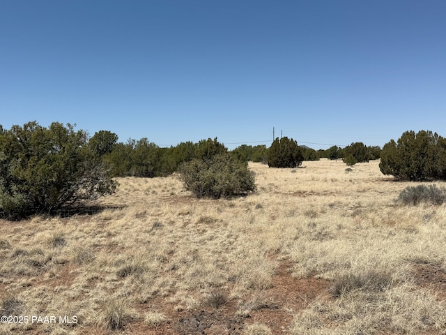 8481 Alpine Pl, Show Low, AZ 85901 - photo 1