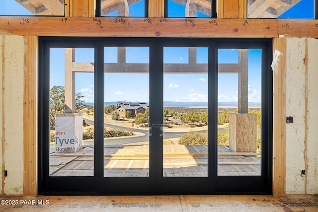 doorway featuring a healthy amount of sunlight and french doors