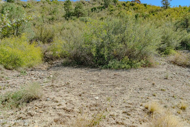 441 S Alarcon St, Prescott, AZ 86303 - photo 50