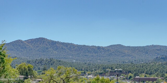 property view of mountains with a forest view