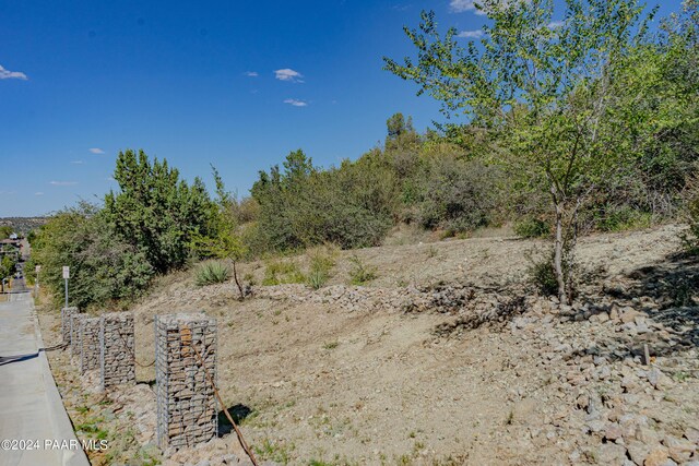 view of local wilderness