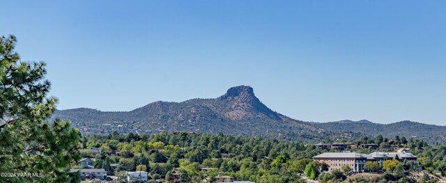 view of mountain feature