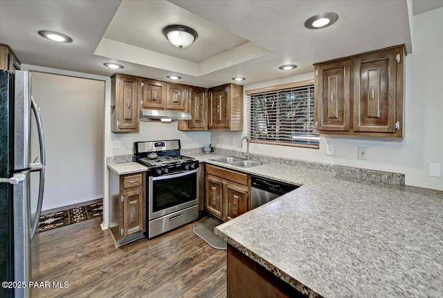 kitchen with a raised ceiling, appliances with stainless steel finishes, sink, and dark wood-type flooring