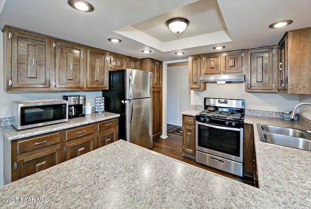 kitchen with dark hardwood / wood-style flooring, sink, a raised ceiling, and stainless steel appliances