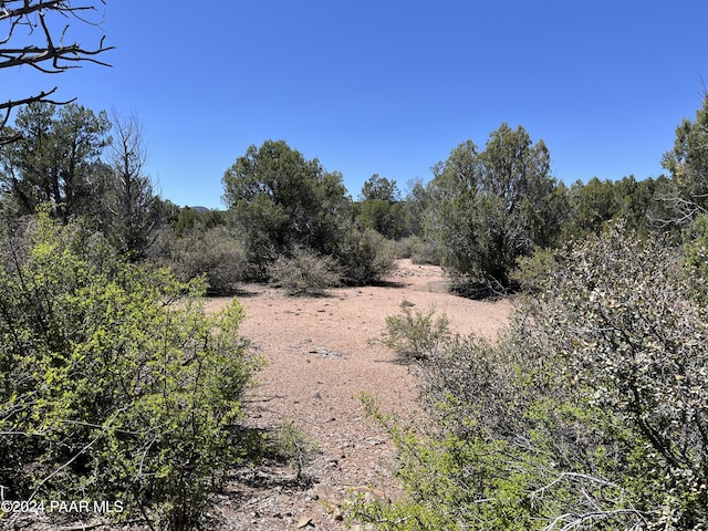 243 E Badger Ridge Rd, Kingman AZ, 86401 land for sale