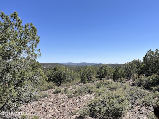 Listing photo 3 for 243 E Badger Ridge Rd, Kingman AZ 86401