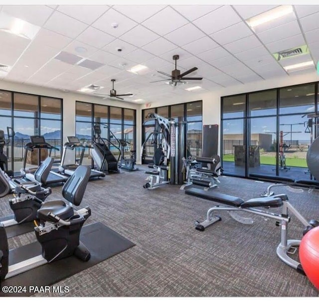 exercise room featuring carpet, ceiling fan, a drop ceiling, and a wealth of natural light